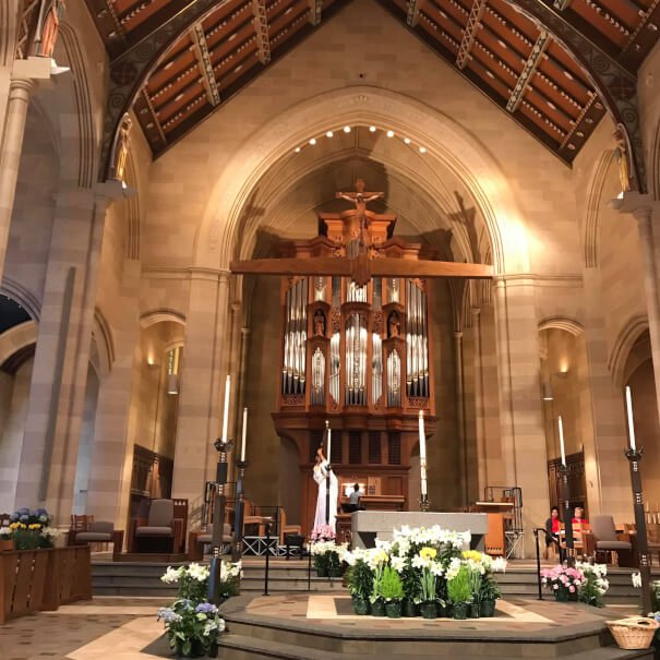 tree of life bible jewish bible catholic mass daniah greenberg