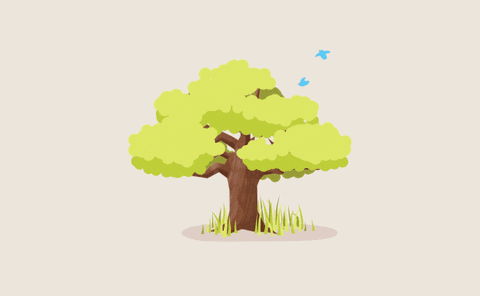 season cycle of a tree GIF 