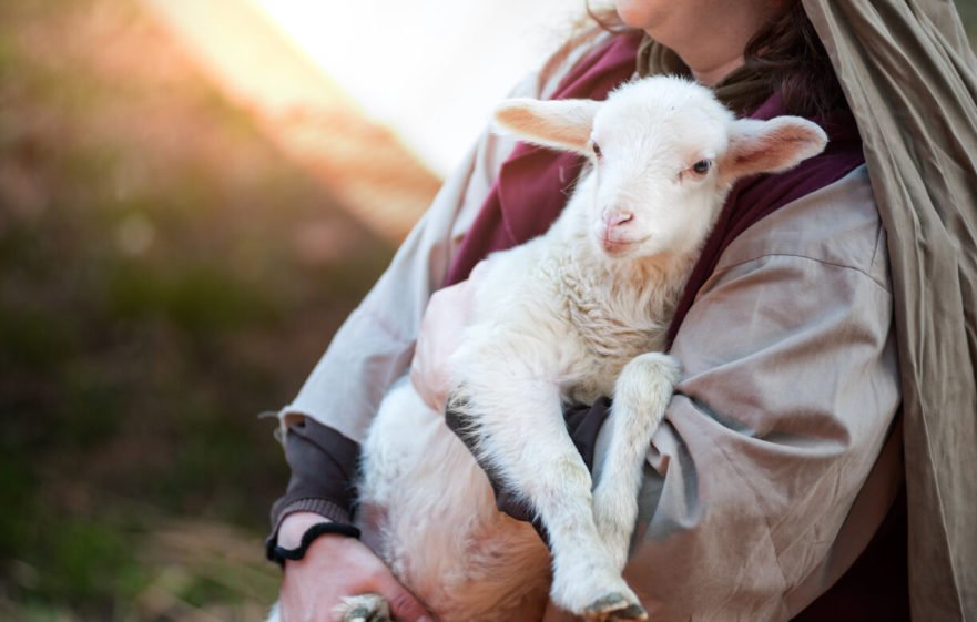 yom kippur lamb