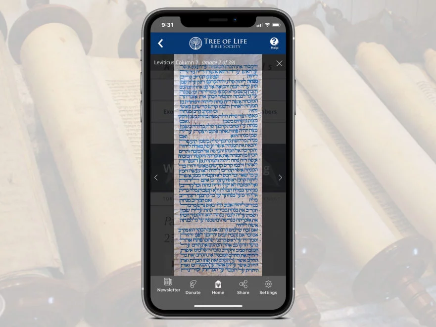 Ancient Scrolls on the TLV Bible App